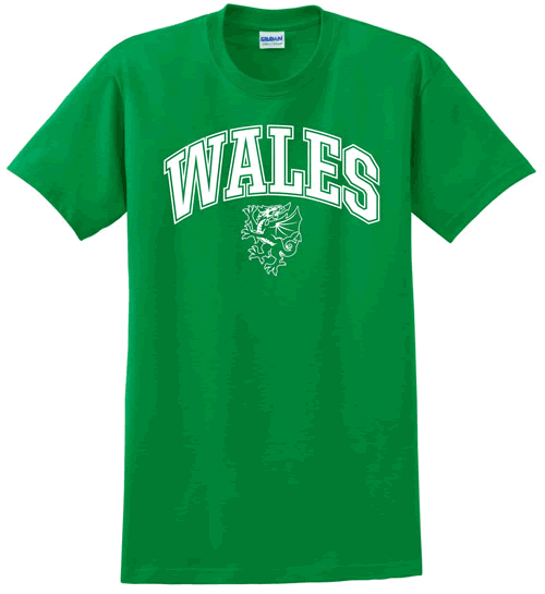 Wales Collegiate