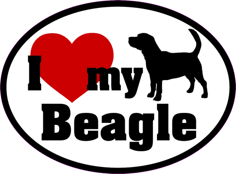 Beagle