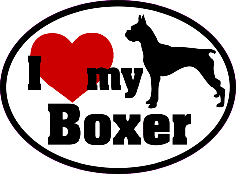 Boxer