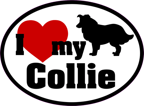 Collie