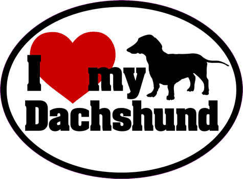 Daschshund