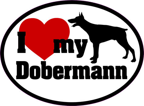 Doberman