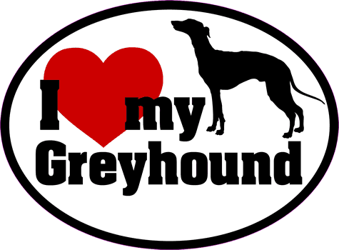 Greyhound