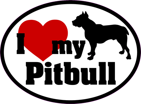 Pitbull