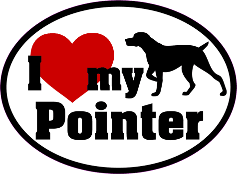 Pointer