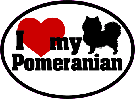 Pomeranian