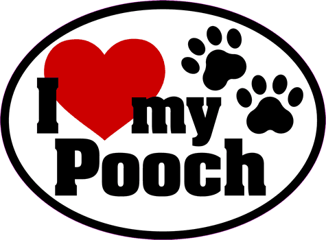 Pooch