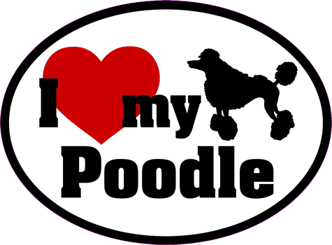 Poodle