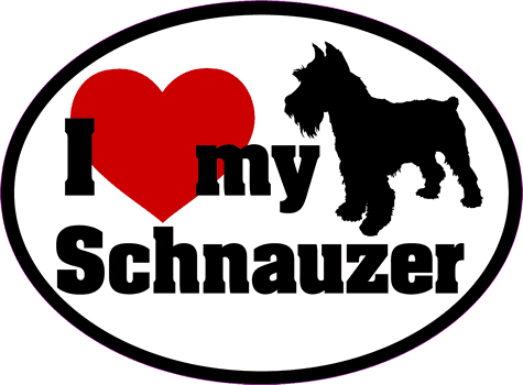 Schnauzer