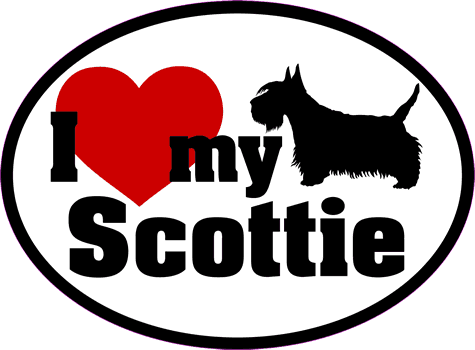 Scottie