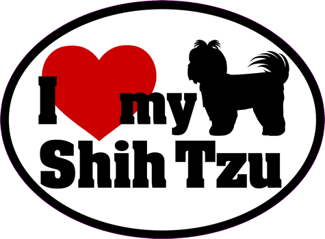 Shih Tzu