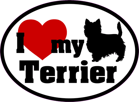 Terrier