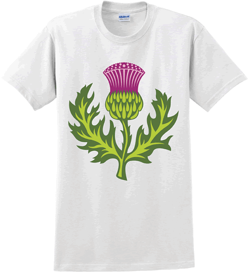 Thistle (white)